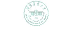 香港财富一码