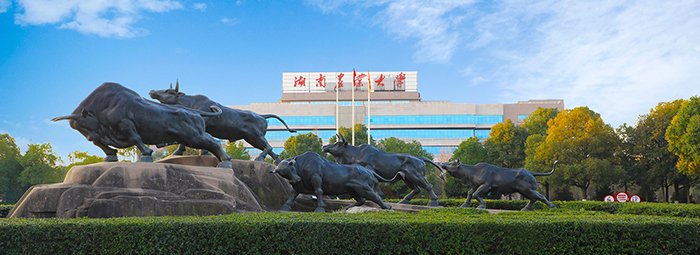 香港财富一码