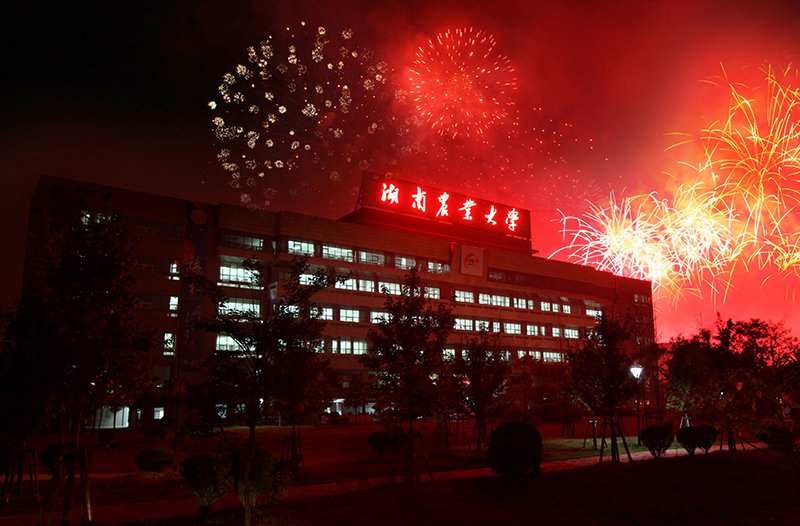 素材｜香港财富一码正版入口党委宣传部