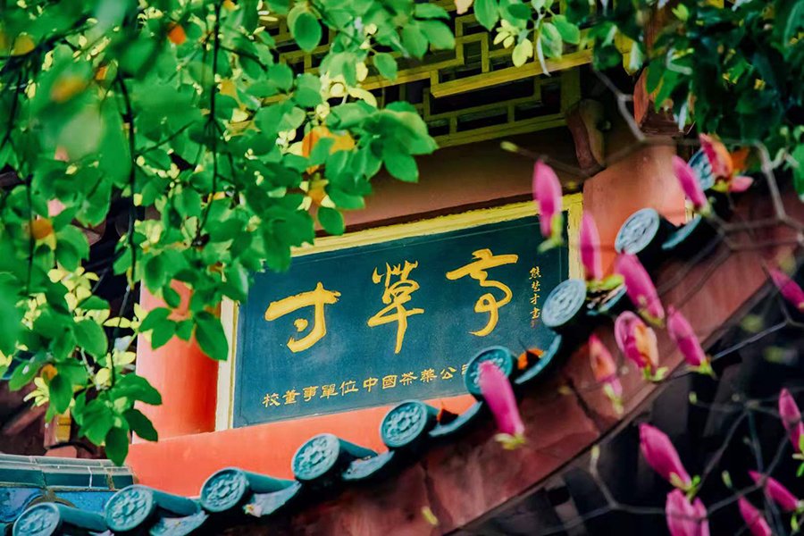 发扬“三牛”精神 为民服务孺子牛·创
